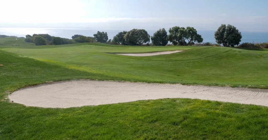 découvrez les réglementations essentielles concernant les bunkers pour garantir sécurité et conformité. informations claires et à jour pour professionnels et particuliers.