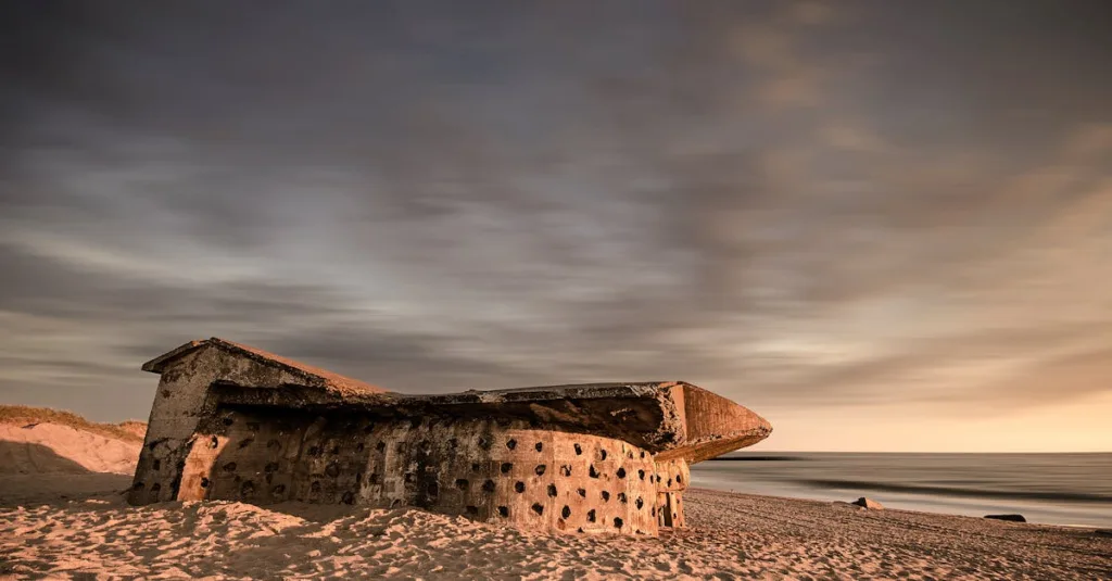 découvrez nos bunkers standards alliant robustesse et sécurité, conçus pour protéger efficacement avec des matériaux de haute qualité.