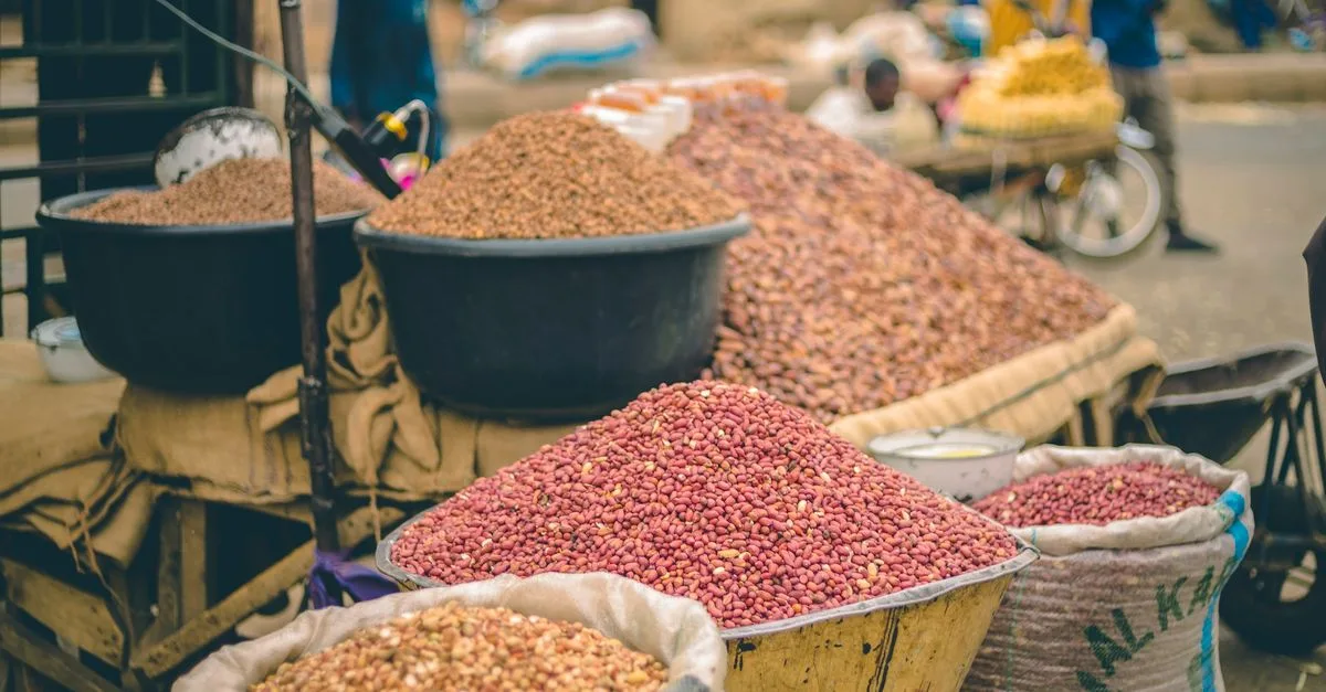 découvrez comment assurer une chaîne d'approvisionnement alimentaire efficace et durable pour garantir la disponibilité et la qualité des produits alimentaires.