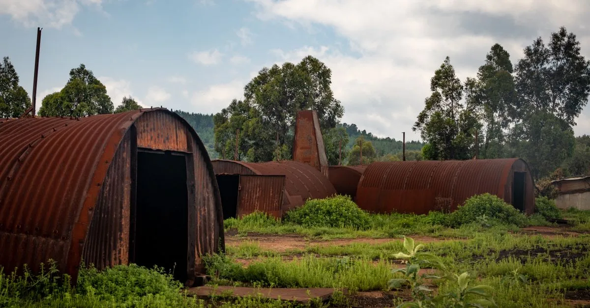 découvrez un bunker rural sécurisé offrant protection et tranquillité au cœur de la nature, idéal pour les amateurs d'aventures et les passionnés de survie.