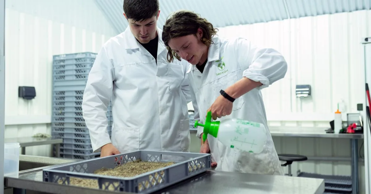 étude approfondie du sol pour analyser ses propriétés, sa composition et son potentiel agricole ou environnemental.