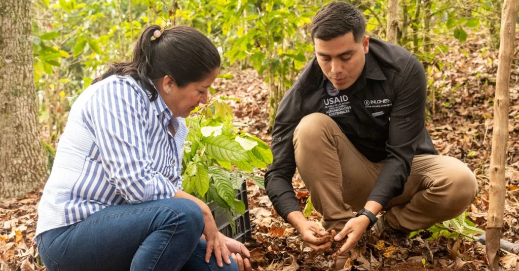 étude approfondie du sol pour analyser ses propriétés et optimiser son utilisation en agriculture, construction ou environnement.