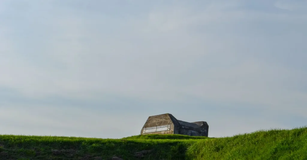 découvrez nos bunkers agricoles robustes et durables, conçus pour le stockage sécurisé de vos récoltes et équipements agricoles.