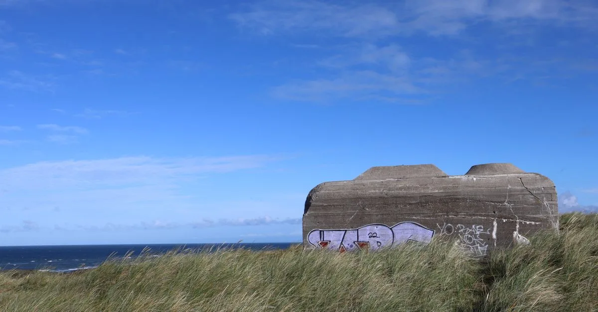 découvrez tout sur les bunkers : leur histoire, leur utilité et comment ils sont conçus pour offrir protection et sécurité.