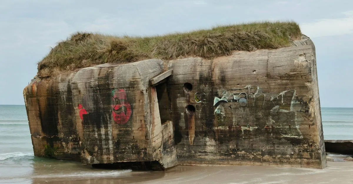 découvrez nos solutions de camouflage pour bunker, alliant discrétion et protection optimale dans tous les environnements.