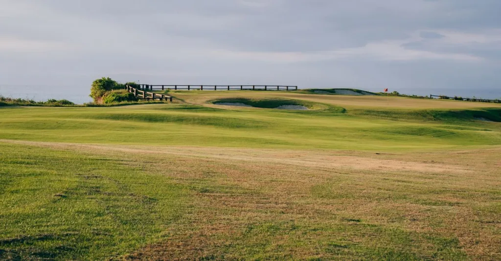 service professionnel de maintenance de bunkers pour assurer leur sécurité, durabilité et bon fonctionnement.