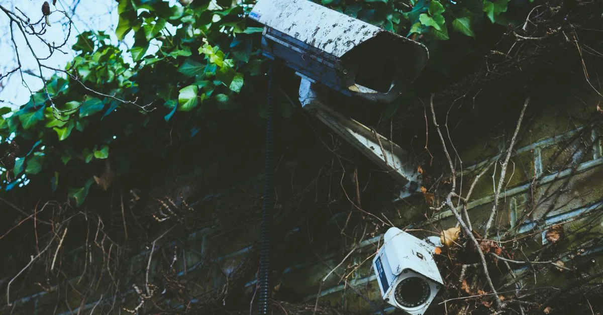 systèmes de surveillance pour bunkers : solutions sécurisées et fiables pour protéger vos installations critiques contre toute intrusion.