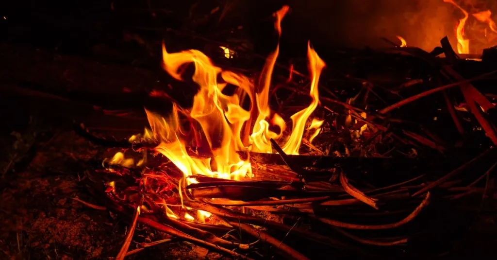 découvrez tout ce qu'il faut savoir sur le stock de survie : conseils, équipements essentiels et astuces pour être prêt en cas d'urgence.